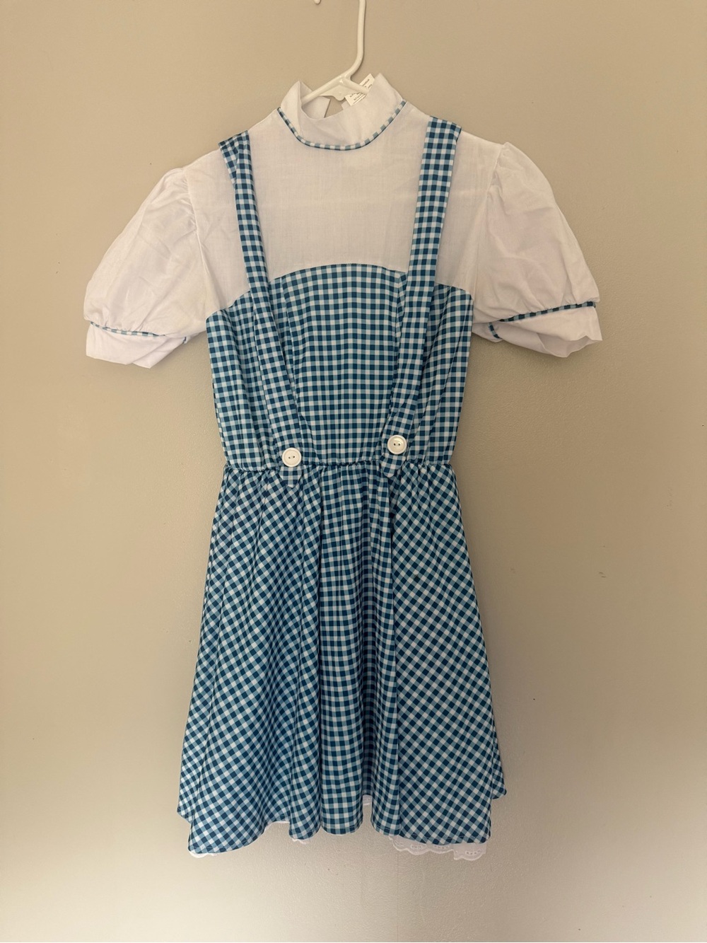 Teen or small women’s Dorothy costume
